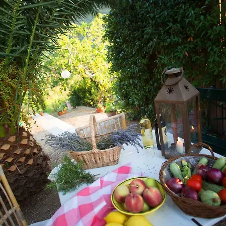 Casa Del Sole A Sunshine House